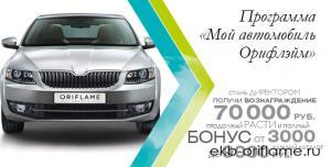 Программа для Директоров